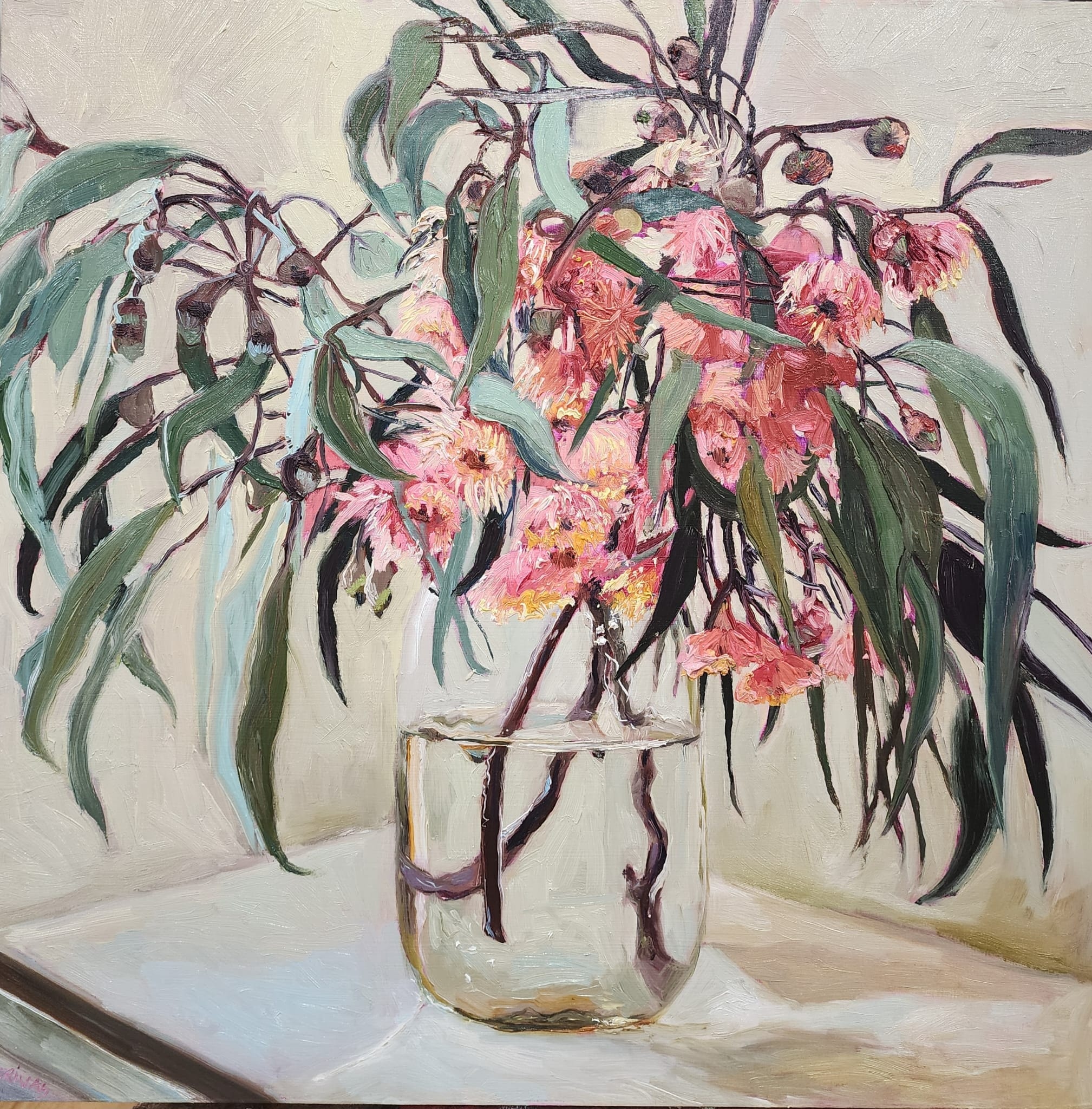 Kim GRIVAS Flowering Gum 50 x 50cm Oil on Board